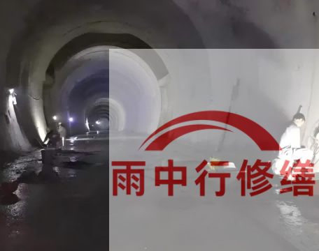 忻州长安镇隧道堵漏工程案例