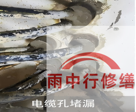 忻州电缆线空洞堵漏加固案例